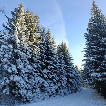 Goscinne Cyraneczka Privatunterkunft Lądek-Zdrój