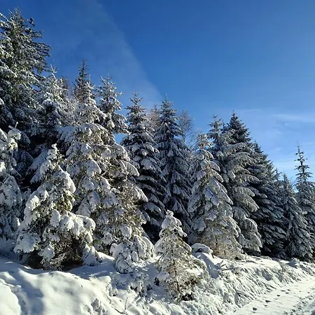 Goscinne Cyraneczka * Lądek-Zdrój