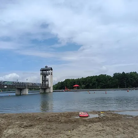 Goscinne Cyraneczka *