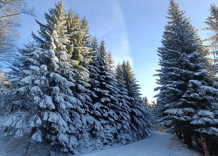Goscinne Cyraneczka Homestay Ladek-Zdroj