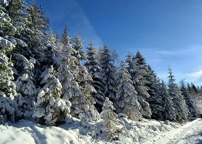 Goscinne Cyraneczka * Ladek-Zdroj