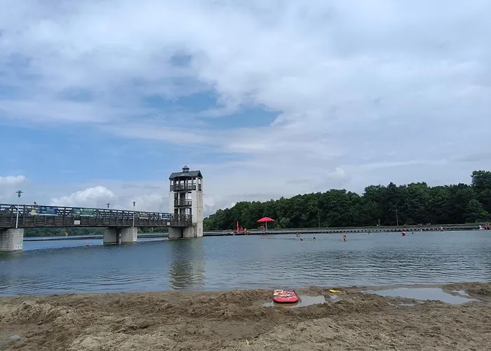 Goscinne Cyraneczka *