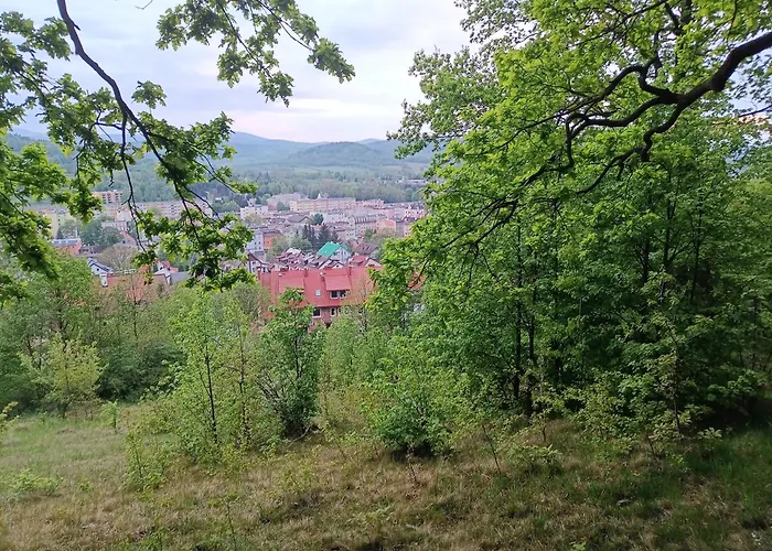 Goscinne Cyraneczka Homestay