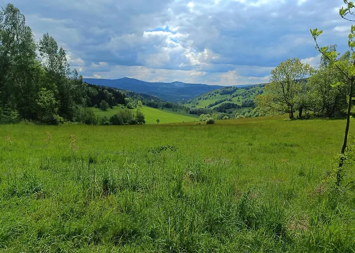 Homestay Goscinne Cyraneczka *